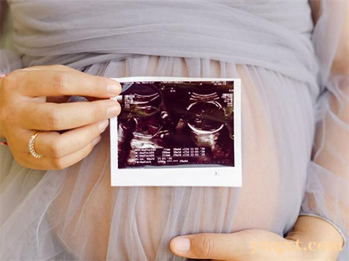 医院助孕服务方案模板图片