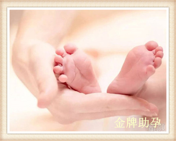 萍乡助孕公司有哪些,萍乡助孕公司：专业服务温暖备孕家庭