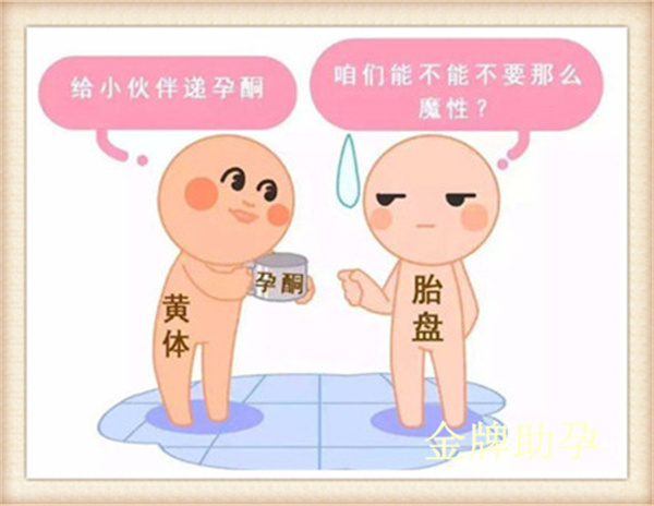 深圳助孕公司排名榜：选择哪家助孕机构更靠谱？